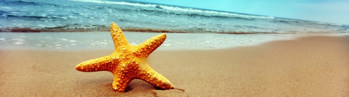 starfish_baner.jpg