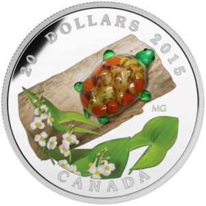 Kanada 2014 - 20$ Murano Glass - Water-lily with Venetian Leopard Frog - 1 oz. Silver Proof Coin