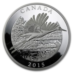 Kanada 2015 - 125$ Żuraw krzykliwy - 1/2 Kilo Srebrna Moneta