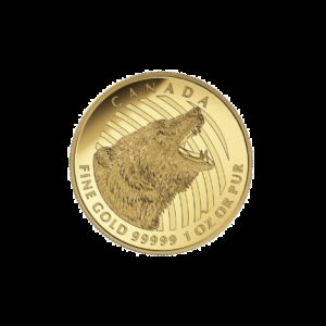 Kanada 2016 - 200$ Ryczący Niedźwiedź - 1 Uncja Czystego Złota