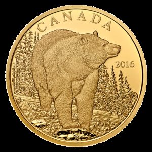 Kanada 2016 - $350 Ikony Kanadyjskiej Przyrody Niedźwiedź Czarny - 1 Uncja Czystego Złota