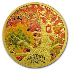 Kanada 2017 - 250$ Maple Canopy: Kalejdoskop Kolorów II - 2 Uncje Złota Moneta