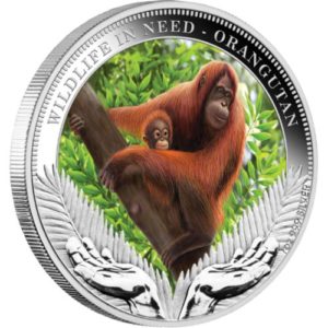 Tuvalu 2011 - 1$ Dzika Natura w Potrzebie Orangutan "2" - 1 Uncja Srebrna Moneta