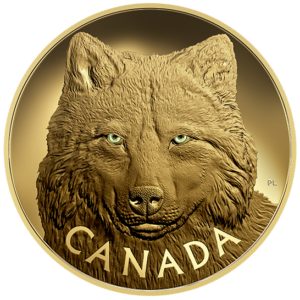 Kanada 2017 - 2500$ Ikona Kanadyjskiej Przyrody w Oczach Szarego Wilka - 1 Kilogram Czystego złota