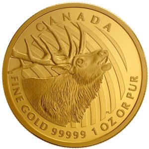 Kanada 2017 - 200$ Łoś - Seria Zew Natury "4" - 1 Uncja Złota Moneta