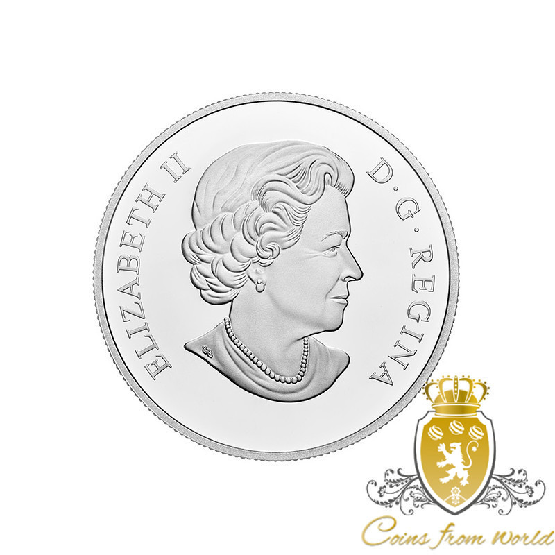 tikros monetos | Lietuvos banko terminų bazė, Monetų bazė