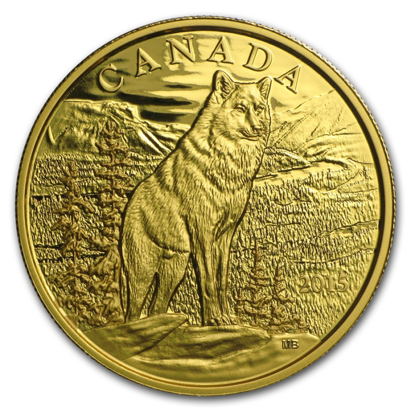 Canada 15 350 Iconic Canadian Animals Imposing Alpha Wolf 3 Pure Gold Coin Coins From World Sklep Numizmatyczny